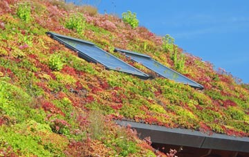Alfreton living roof systems